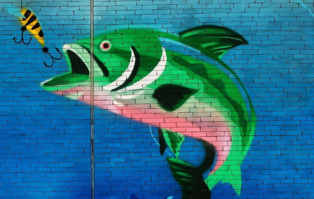 Phishing